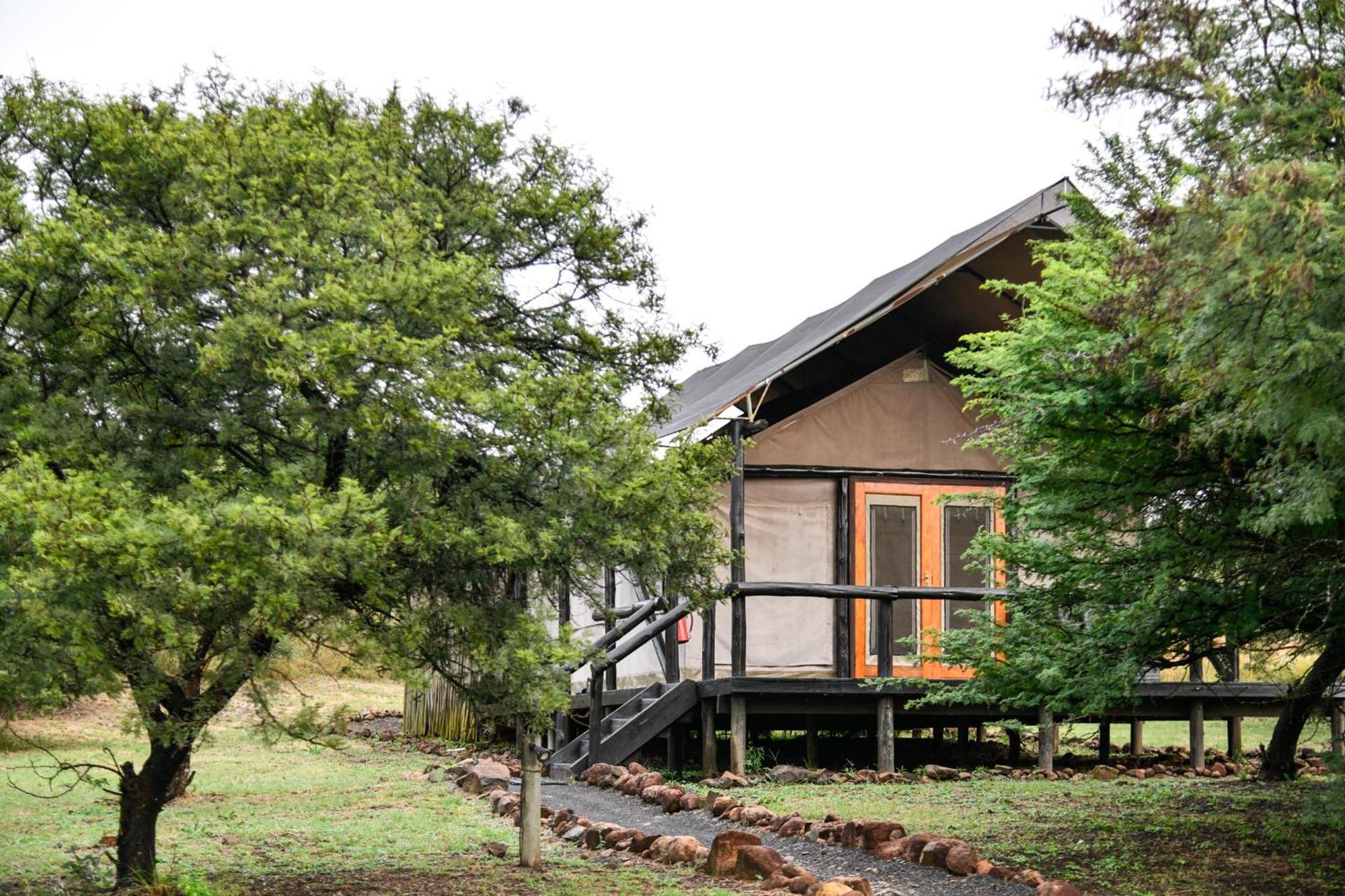 The Springbok Lodge Ladysmith Zewnętrze zdjęcie