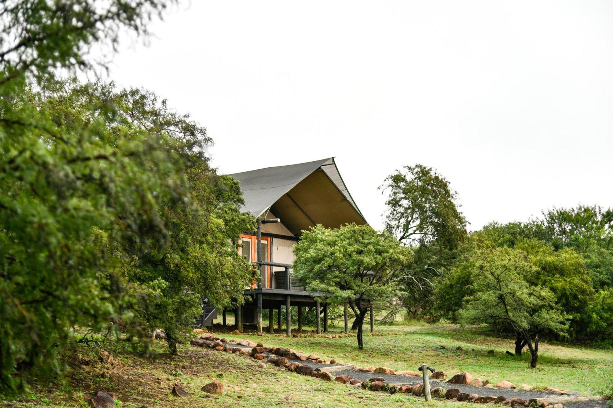 The Springbok Lodge Ladysmith Zewnętrze zdjęcie